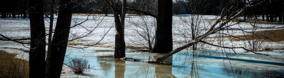 Spring at Maisonneuve Park