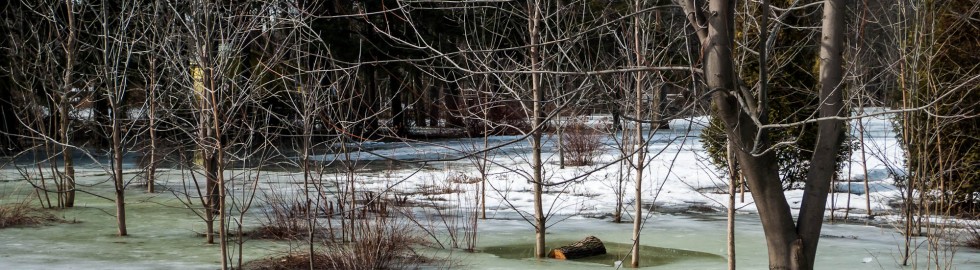 Spring at Maisonneuve Park